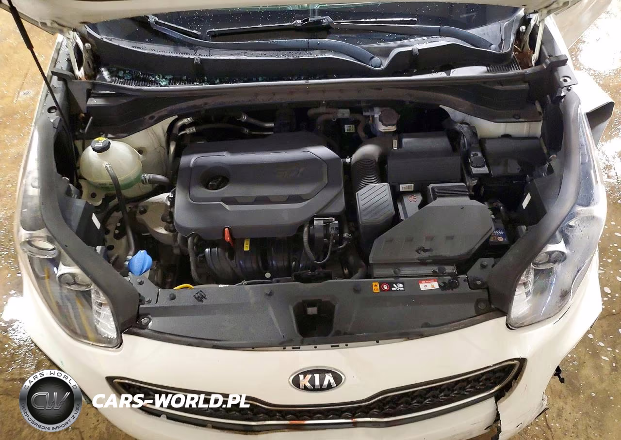 2019 Kia Sportage Lx VIN:KNDPMCAC2K7577877 - 12