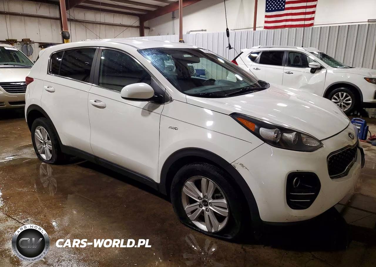 2019 Kia Sportage Lx VIN:KNDPMCAC2K7577877 - 4