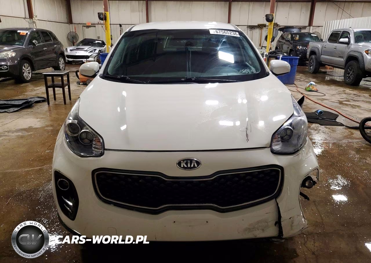 2019 Kia Sportage Lx VIN:KNDPMCAC2K7577877 - 5