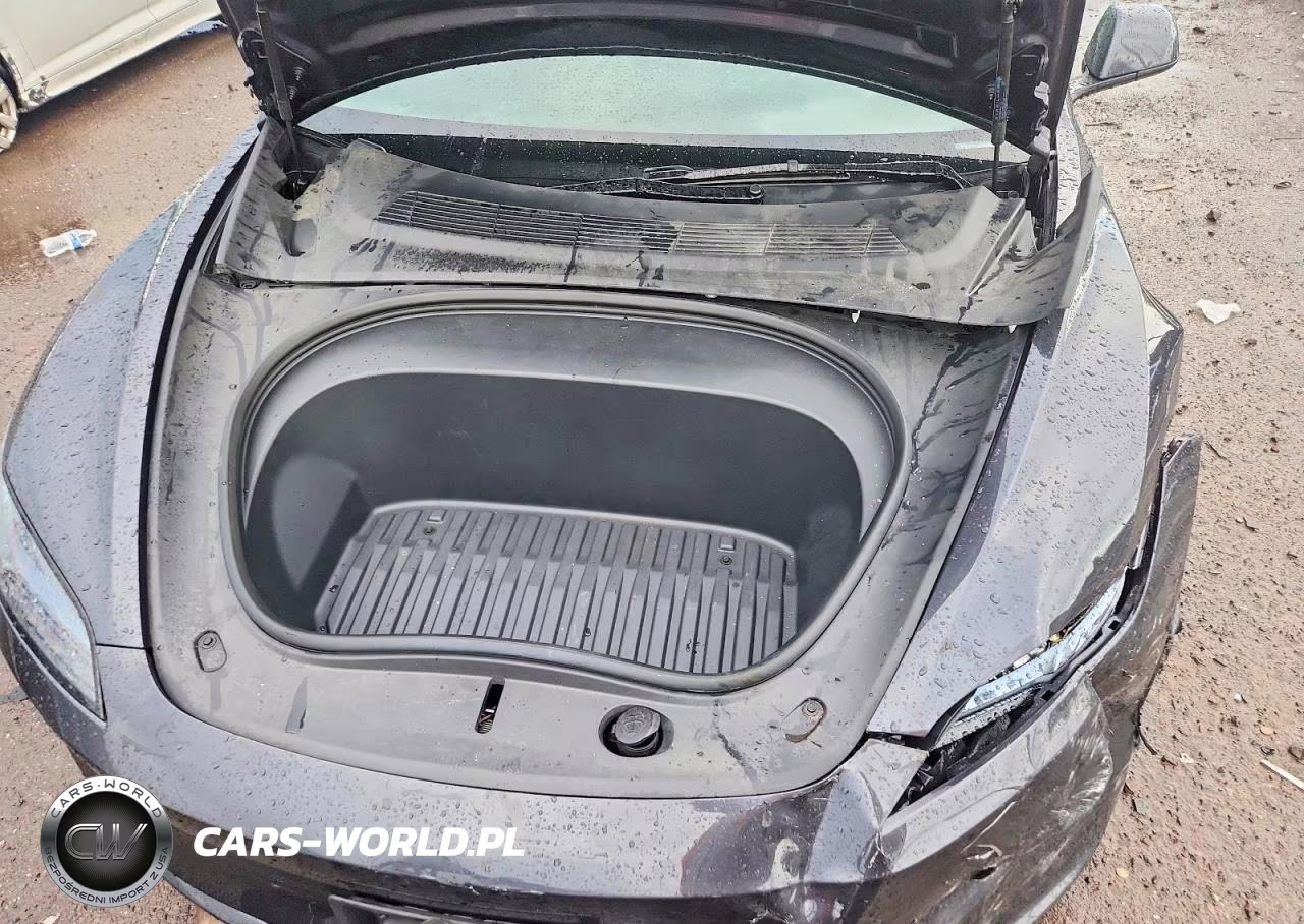 2025 Tesla Model 3 VIN:5YJ3E1EA3SF964828 - 11