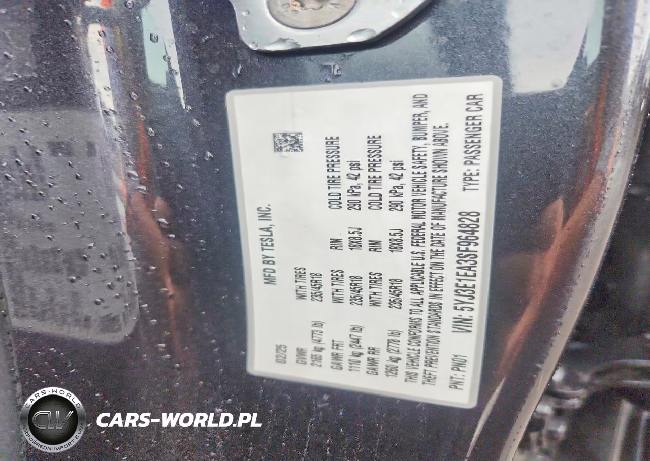 2025 Tesla Model 3 VIN:5YJ3E1EA3SF964828 - 12