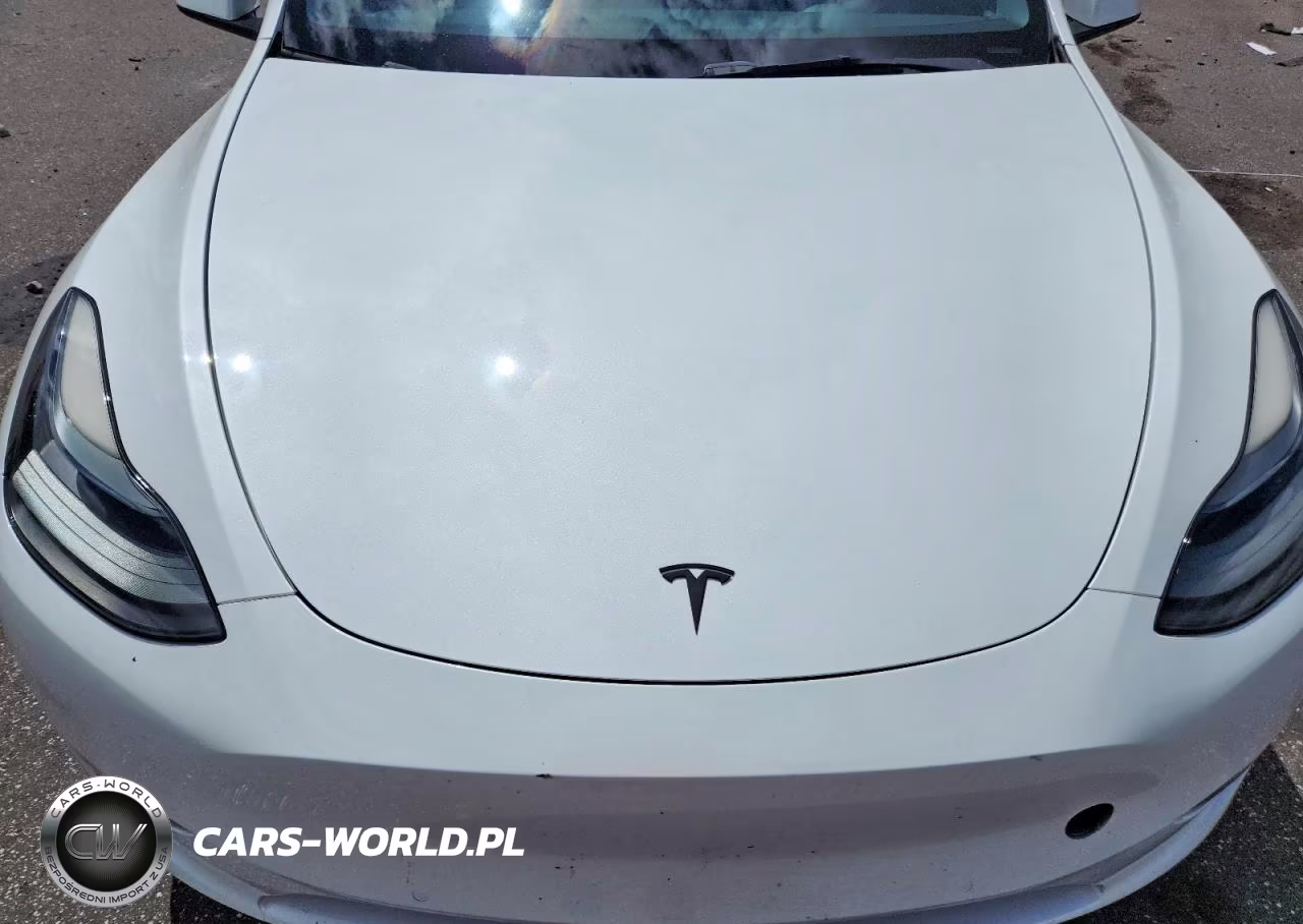 2022 Tesla Model Y VIN:7SAYGDEF7NF550407 - 11