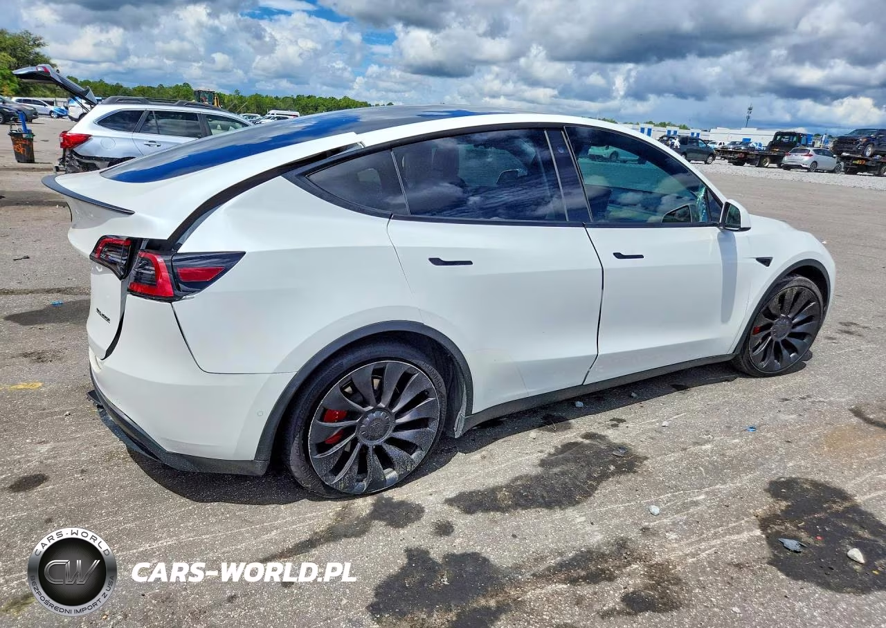 2022 Tesla Model Y VIN:7SAYGDEF7NF550407 - 3