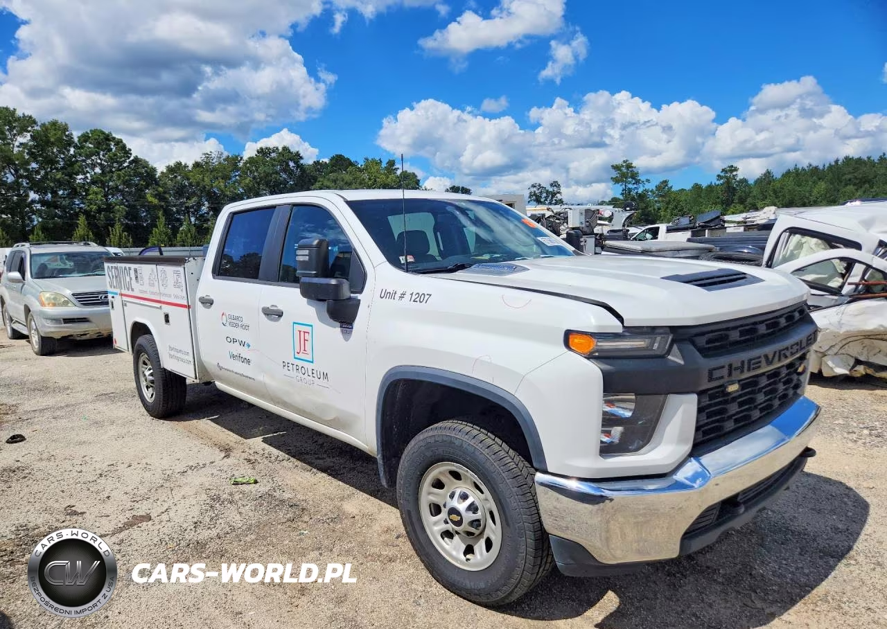 2020 Chevrolet Silverado K3500 VIN:1GC4YSEY1LF245153 - 4