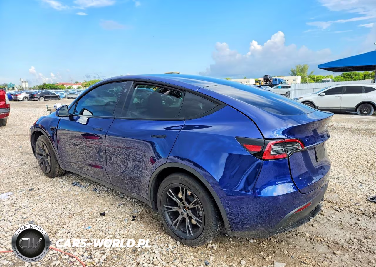 2025 Tesla Model Y VIN:7SAYGDEDXSF226832 - 2