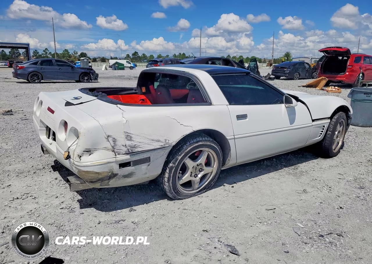1995 Chevrolet Corvette VIN:1G1YY22P8S5103750 - 3