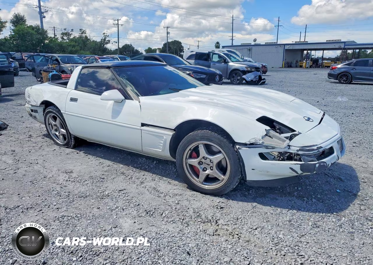 1995 Chevrolet Corvette VIN:1G1YY22P8S5103750 - 4