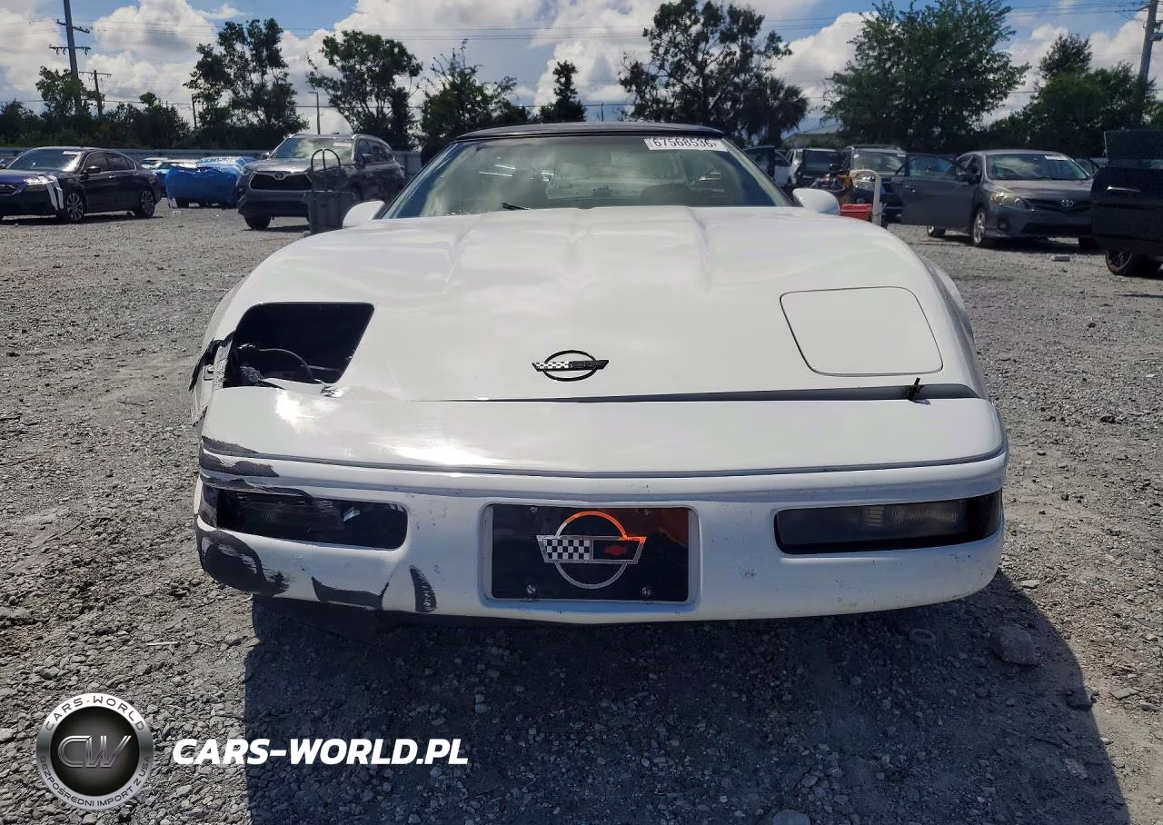 1995 Chevrolet Corvette VIN:1G1YY22P8S5103750 - 5