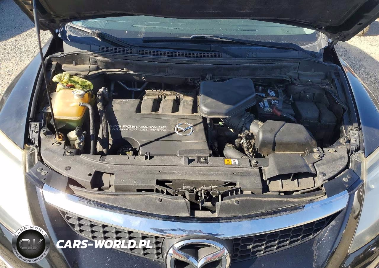 2009 Mazda Cx-9 VIN:JM3TB28V990175032 - 12