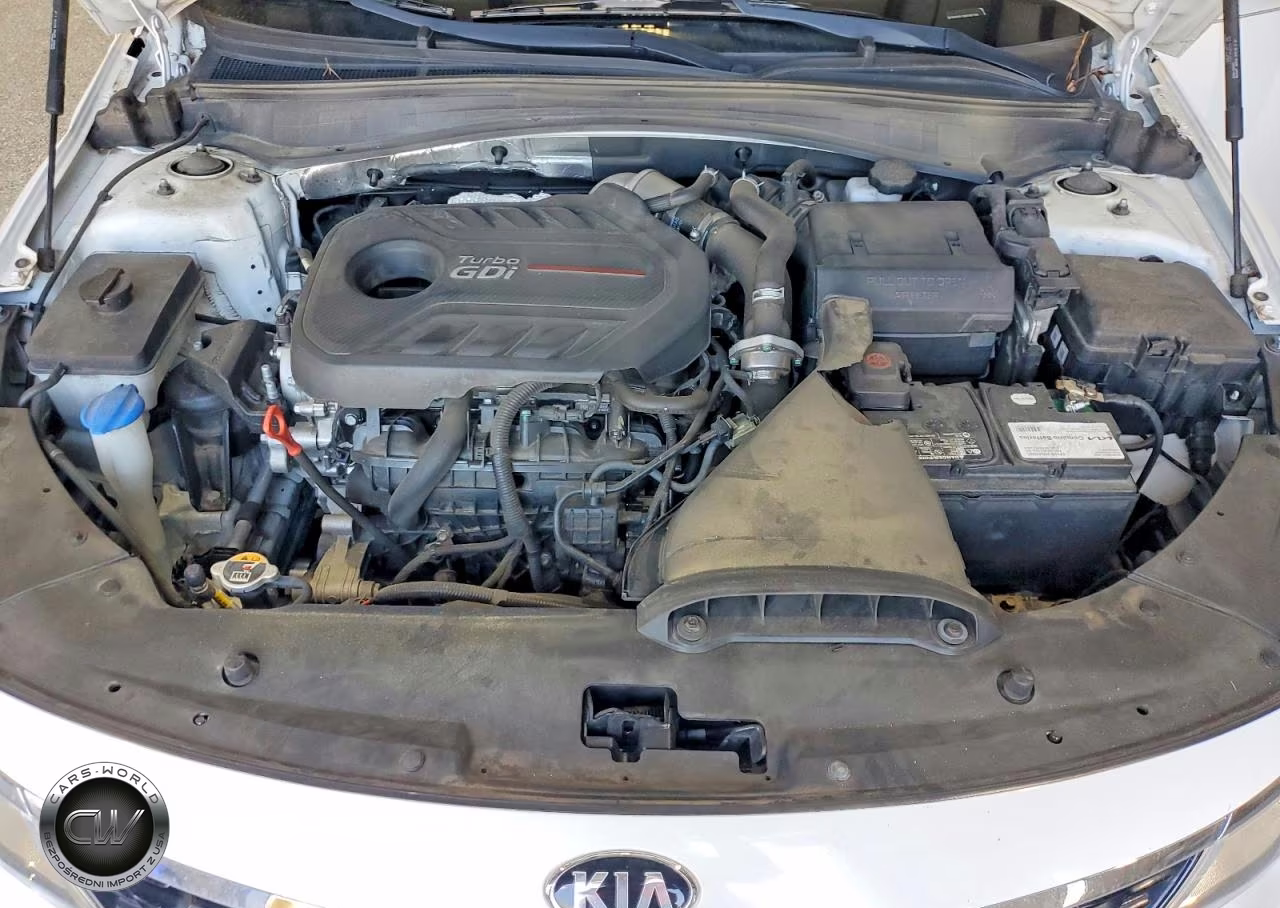 2019 Kia Optima Sxl VIN:5XXGV4L24KG341780 - 11