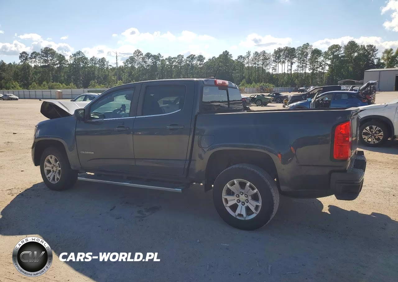 2018 Chevrolet Colorado Lt VIN:1GCGTCEN9J1111797 - 2