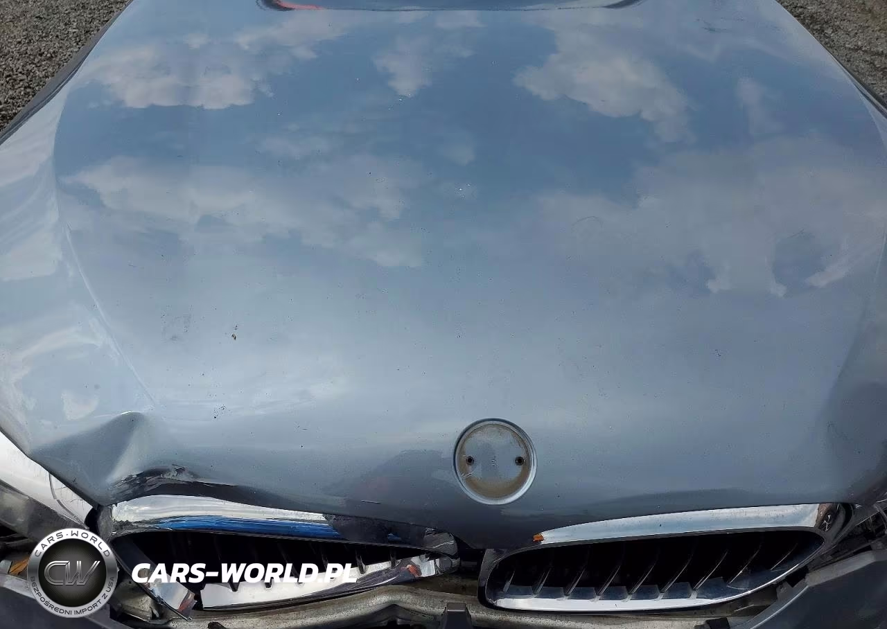 2017 BMW 530 Xi VIN:WBAJA7C32HG905601 - 11