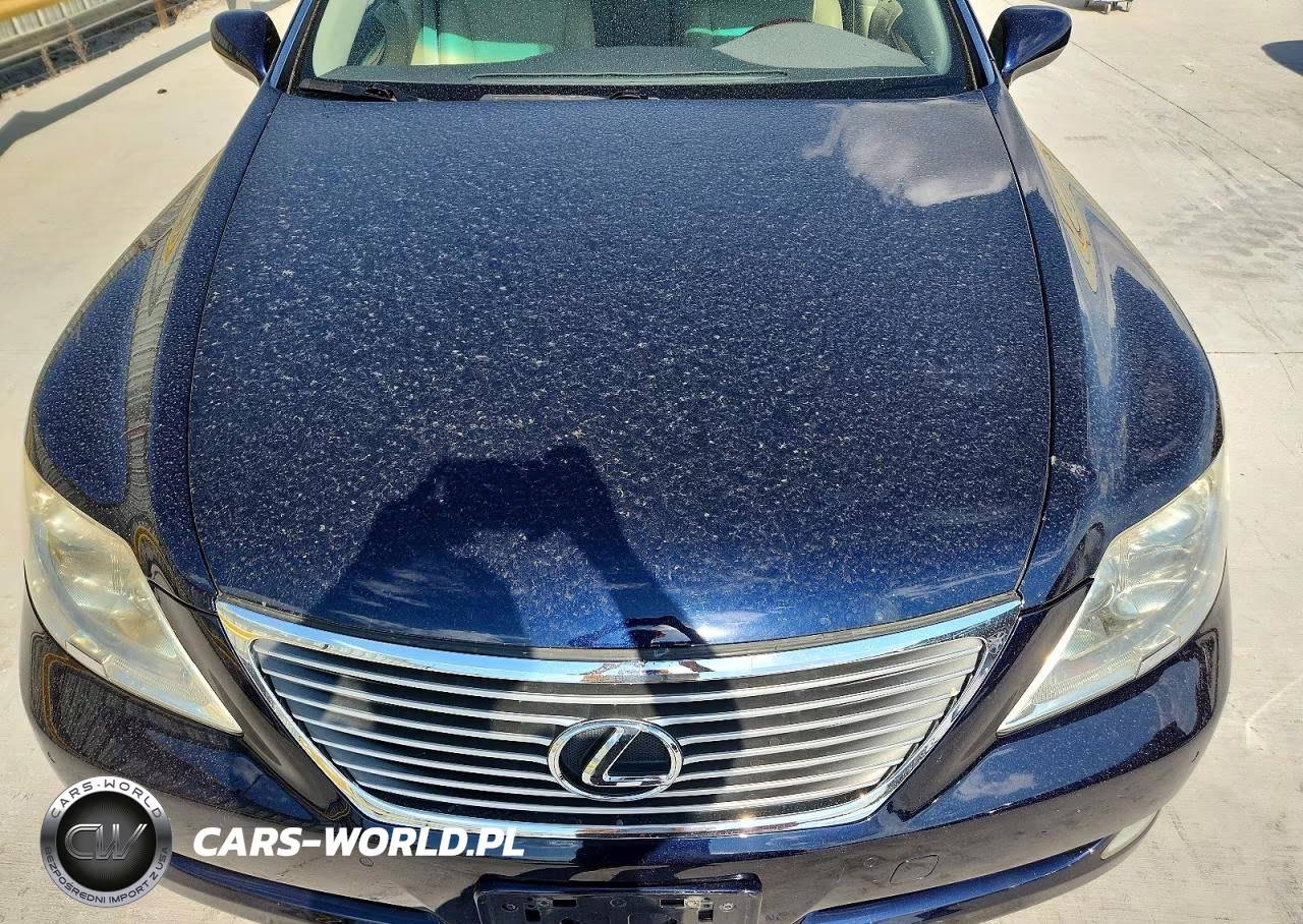 2008 Lexus Ls 460 VIN:JTHBL46F085061140 - 11