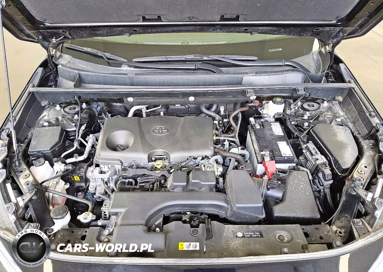 2025 Toyota Rav4 Xle Premium VIN:2T3C1RFV7SC329957 - 12