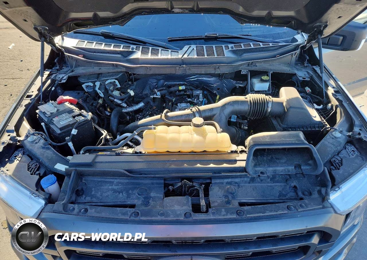 2023 Ford F150 Supercrew VIN:1FTEW1CPXPKD72298 - 11