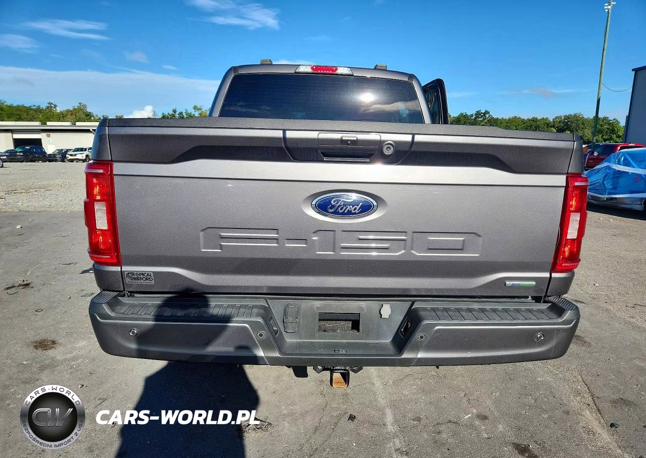 2023 Ford F150 Supercrew VIN:1FTEW1CPXPKD72298 - 6