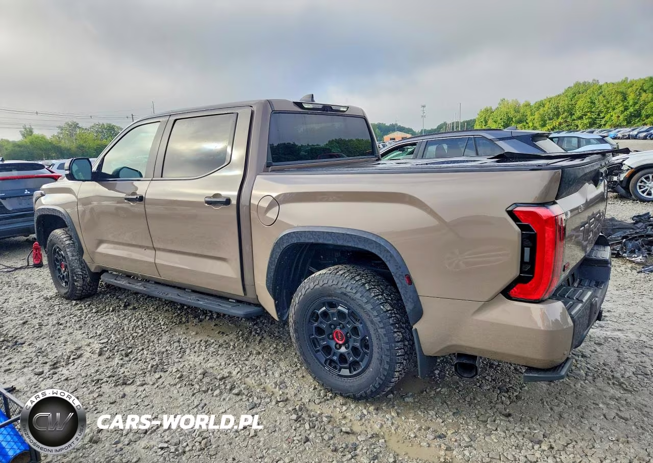 2025 Toyota Tundra Trd Pro Hv VIN:5TFPC5DB2SX098618 - 2