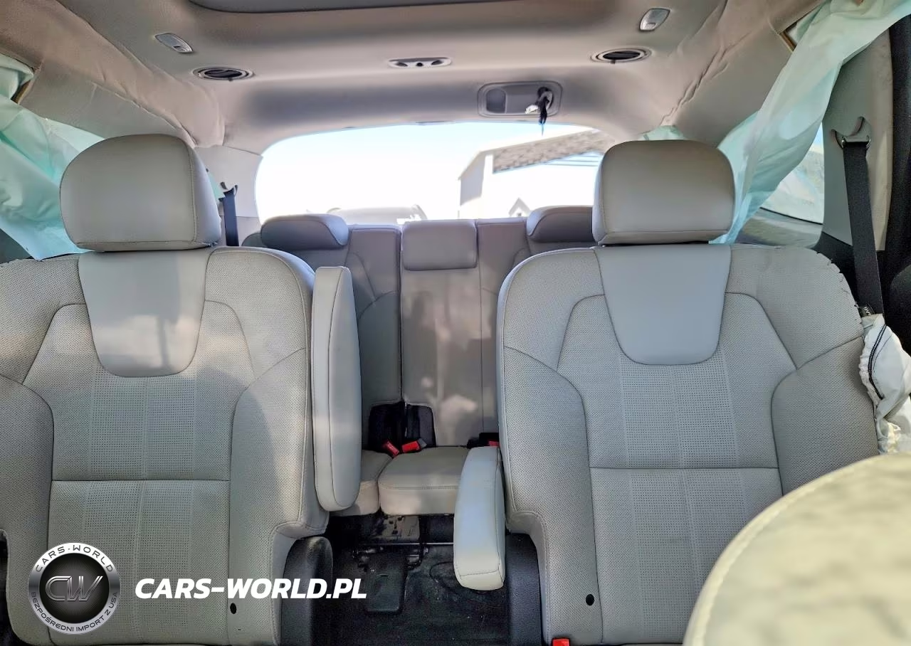 2024 Kia Telluride Sx VIN:5XYP54GC4RG562272 - 10
