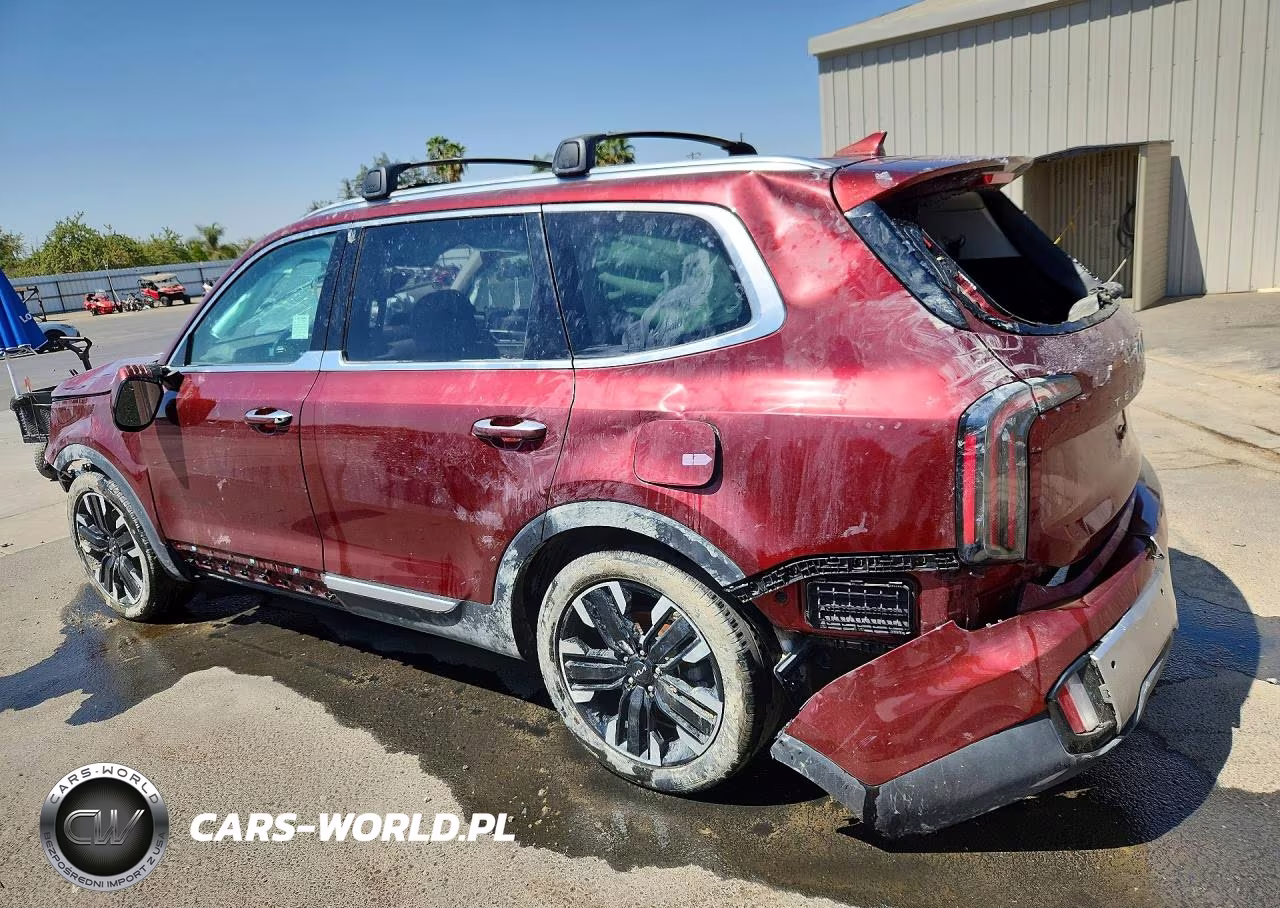 2024 Kia Telluride Sx VIN:5XYP54GC4RG562272 - 2