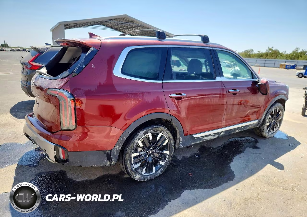 2024 Kia Telluride Sx VIN:5XYP54GC4RG562272 - 3