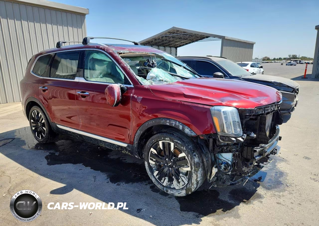 2024 Kia Telluride Sx VIN:5XYP54GC4RG562272 - 4