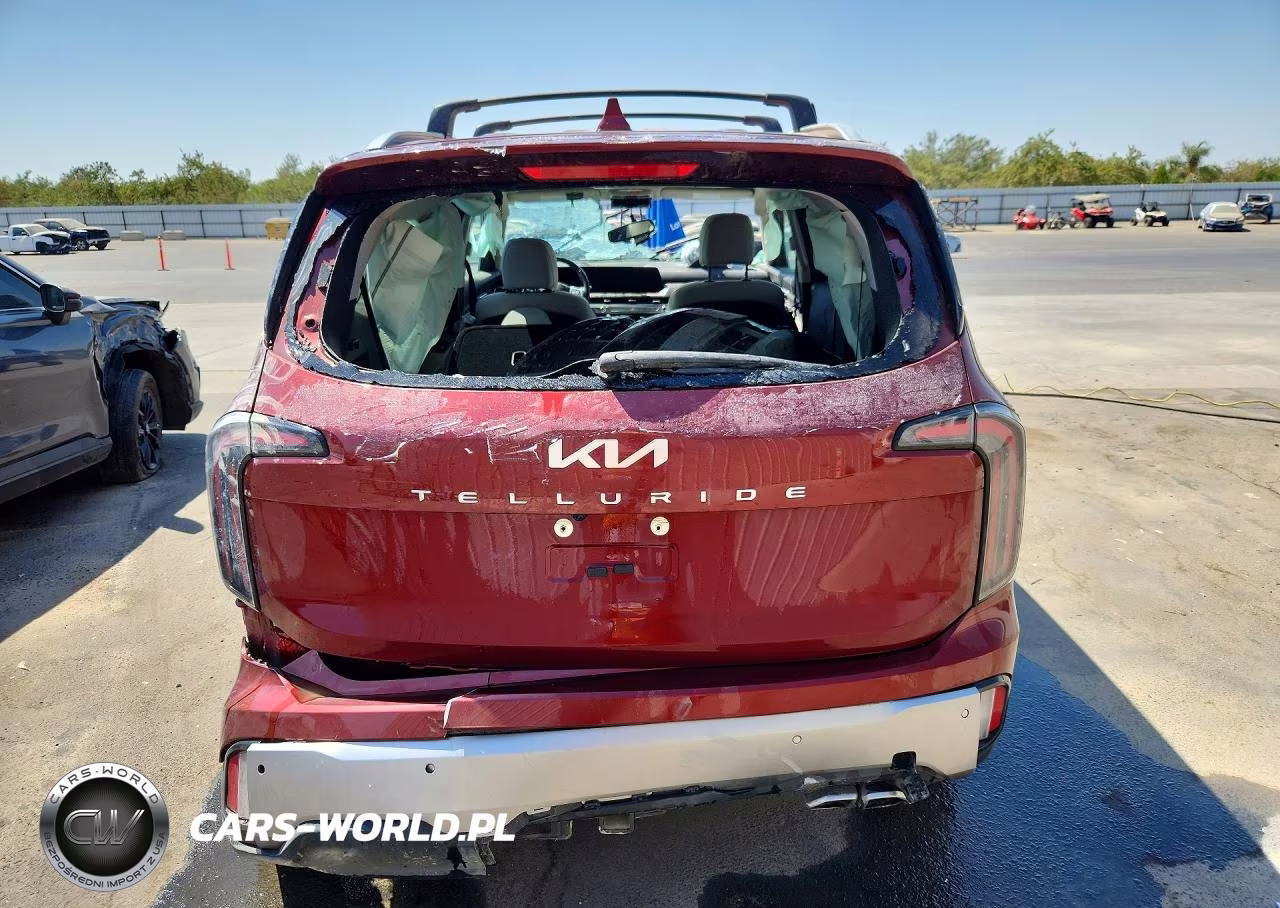 2024 Kia Telluride Sx VIN:5XYP54GC4RG562272 - 6