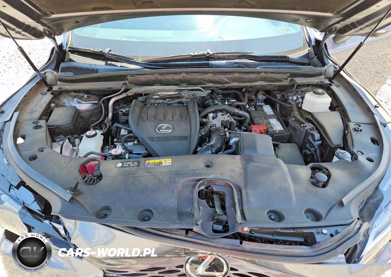 2023 Lexus Rx 350 Premium VIN:2T2BAMBA8PC008345 - 12