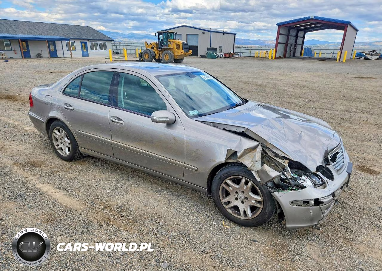 2006 Mercedes-Benz E 320 Cdi VIN:WDBUF26J06A895535 - 4