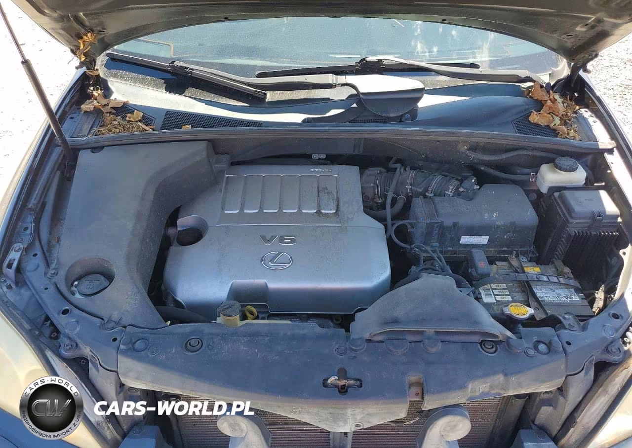 2009 Lexus Rx 350 VIN:2T2HK31U99C116859 - 12