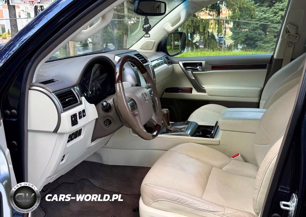 2019 Lexus Gx 460 VIN:JTJBM7FX8K5230690 - 10