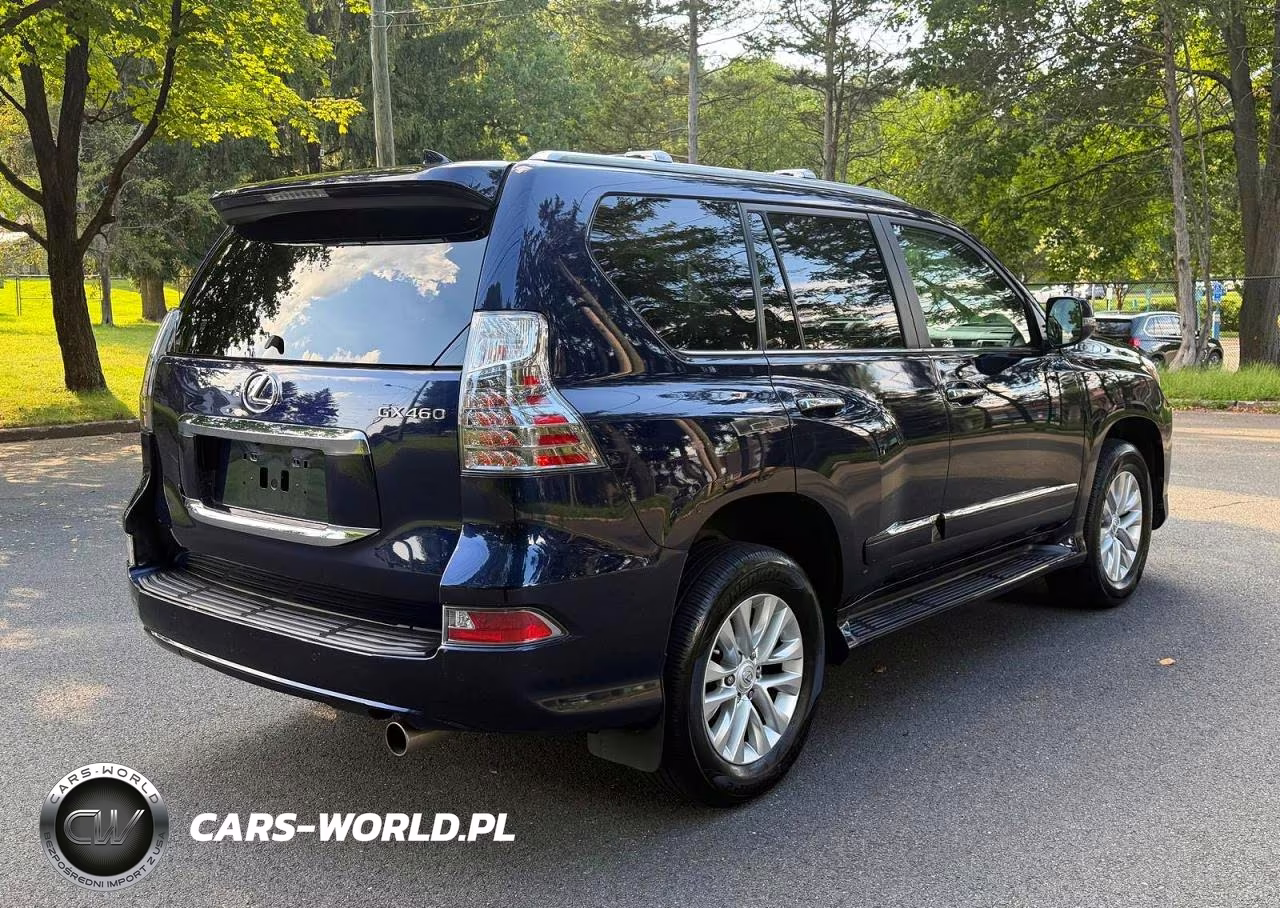 2019 Lexus Gx 460 VIN:JTJBM7FX8K5230690 - 3