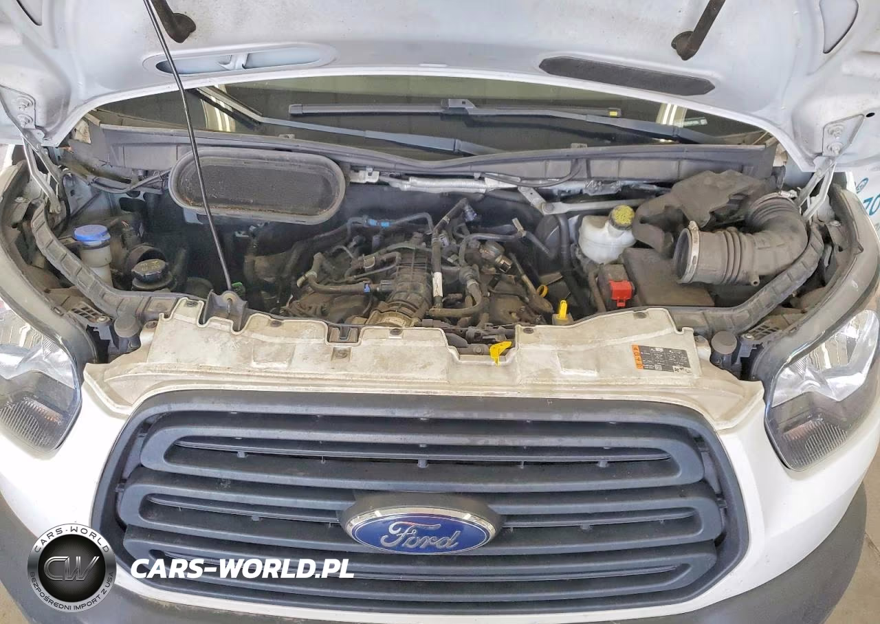 2019 Ford Transit 250 Delivery Van VIN:1FTYR1CG2KKB71265 - 12
