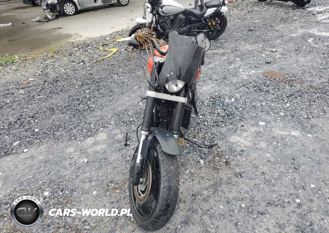 2009 Harley-Davidson Xr1200 VIN:1HD1LA6199K449694 - 2