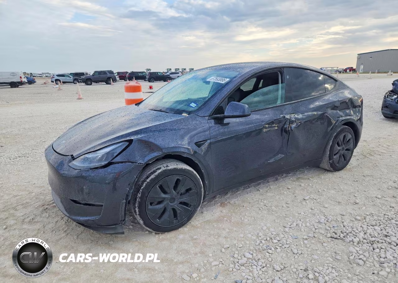 2025 Tesla Model Y VIN:7SAYGDED5SA338712 - 1
