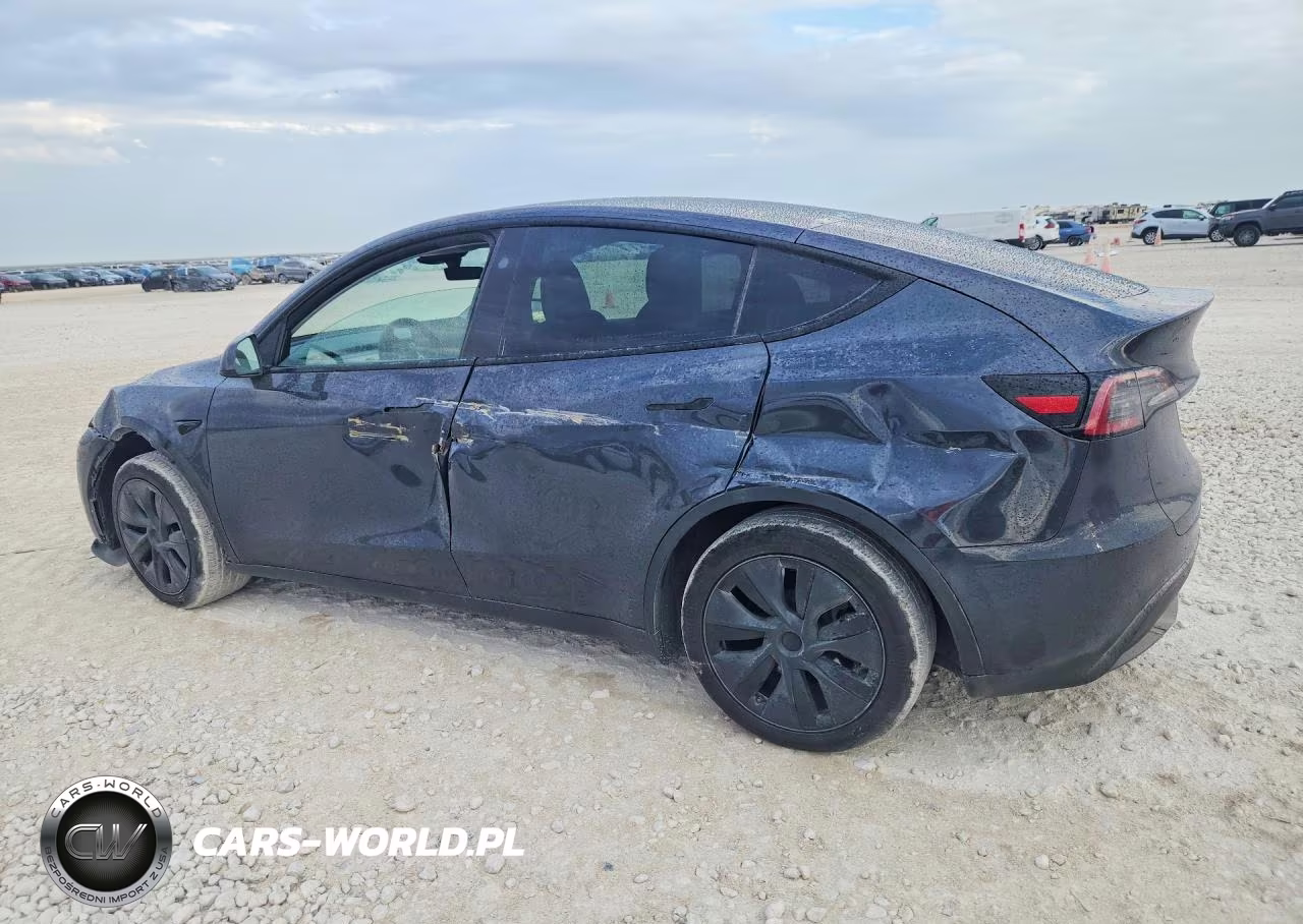 2025 Tesla Model Y VIN:7SAYGDED5SA338712 - 2