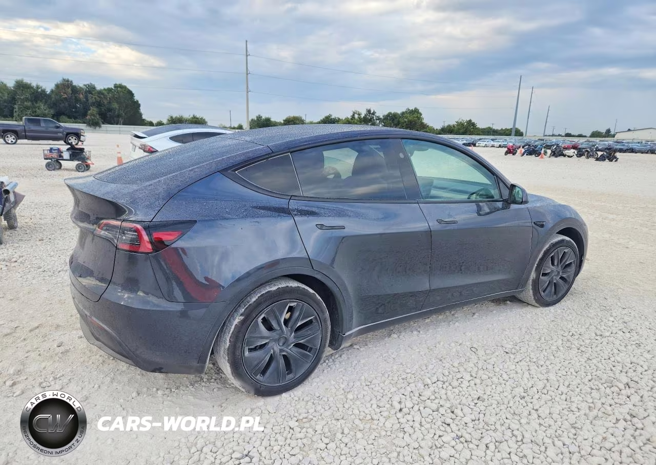 2025 Tesla Model Y VIN:7SAYGDED5SA338712 - 3