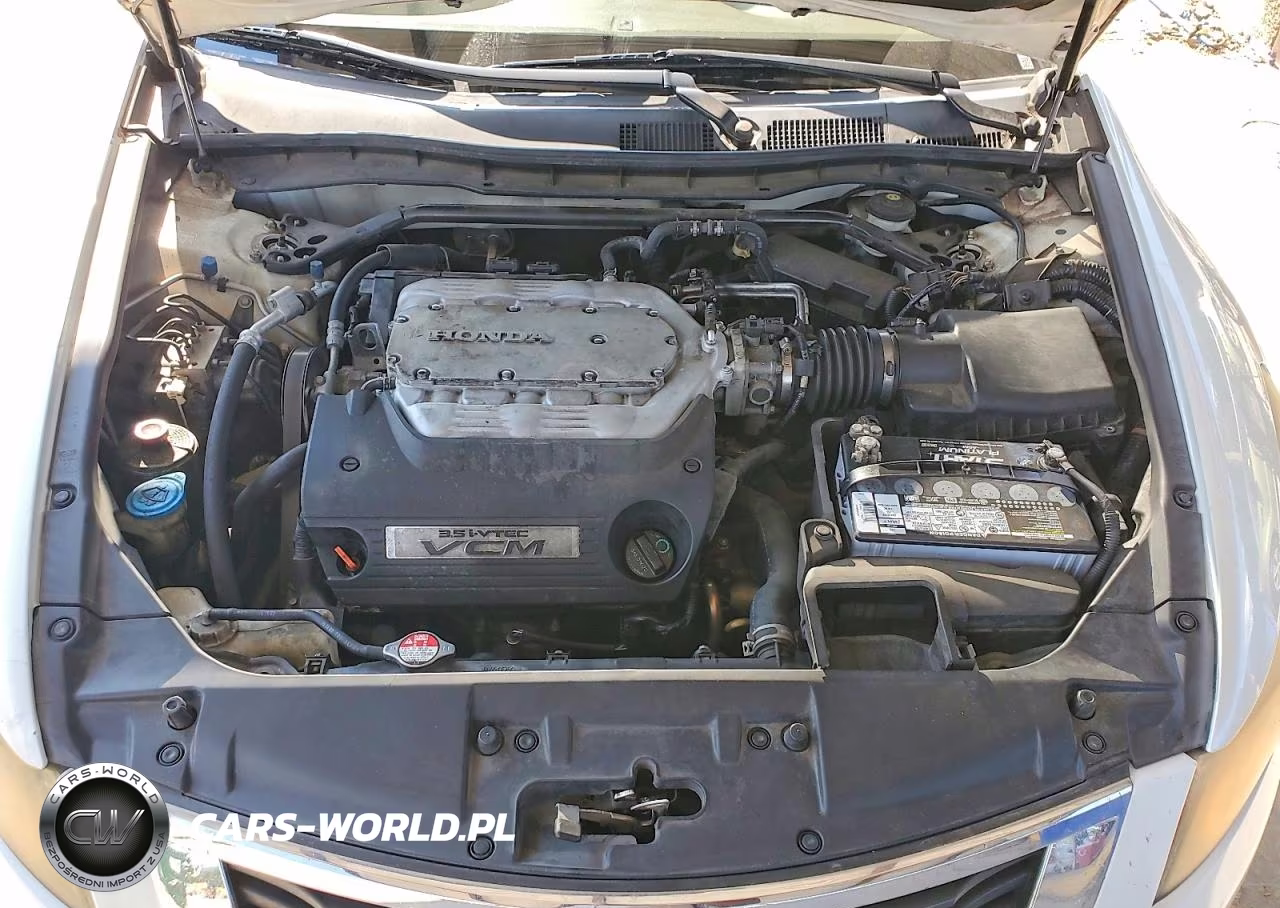 2008 Honda Accord Exl VIN:1HGCP36818A029263 - 11
