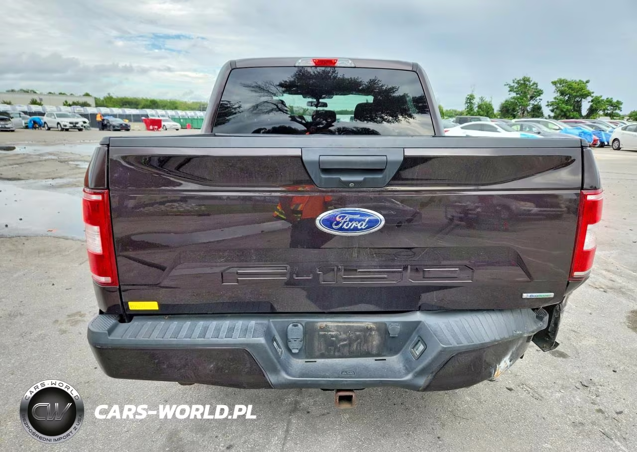 2019 Ford F150 Supercrew VIN:1FTEW1CP6KFD09944 - 6