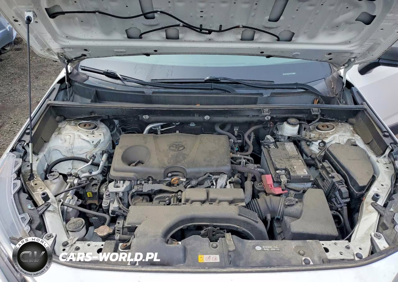 2019 Toyota Rav4 Le VIN:2T3F1RFVXKC053710 - 12
