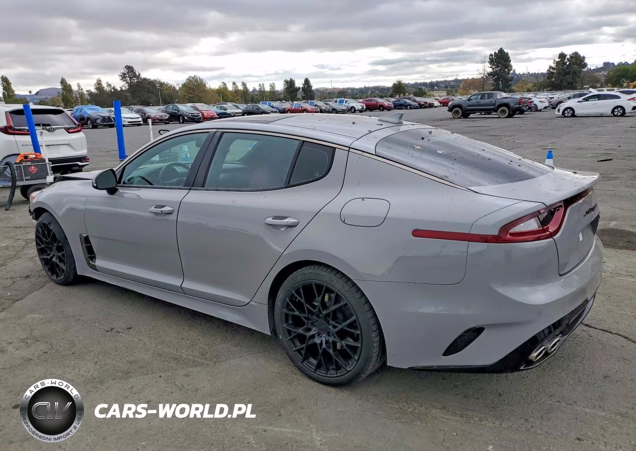 2021 Kia Stinger Gt-Line VIN:KNAE15LA5M6092145 - 2