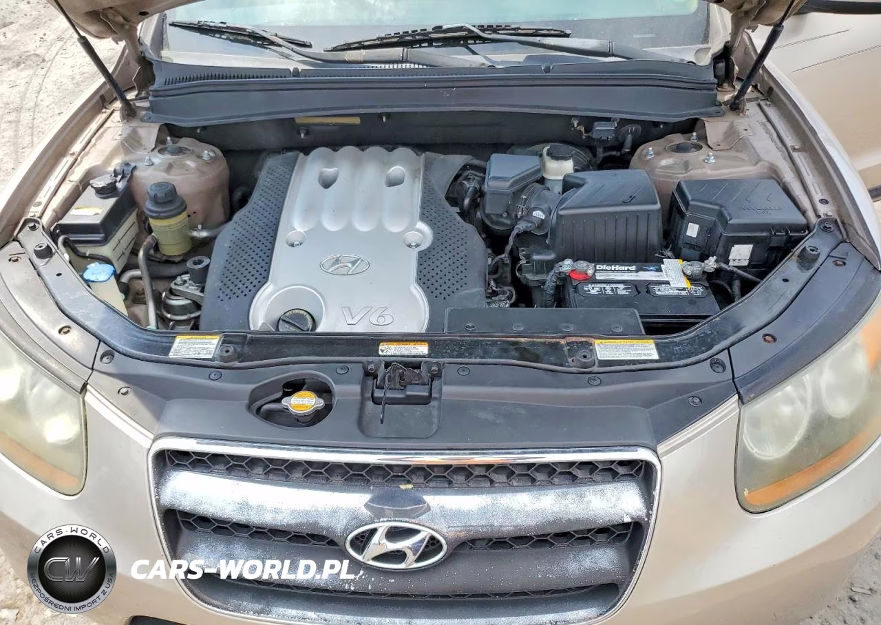 2007 Hyundai Santa Fe Gls VIN:5NMSG73D87H025251 - 12