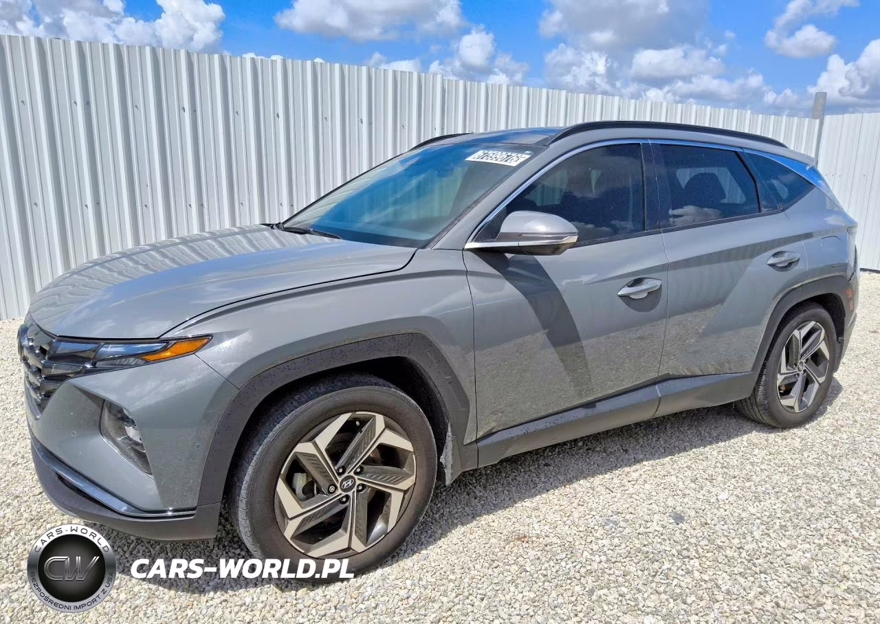 2024 Hyundai Tucson Limited VIN:5NMJE3DEXRH394522 - 1