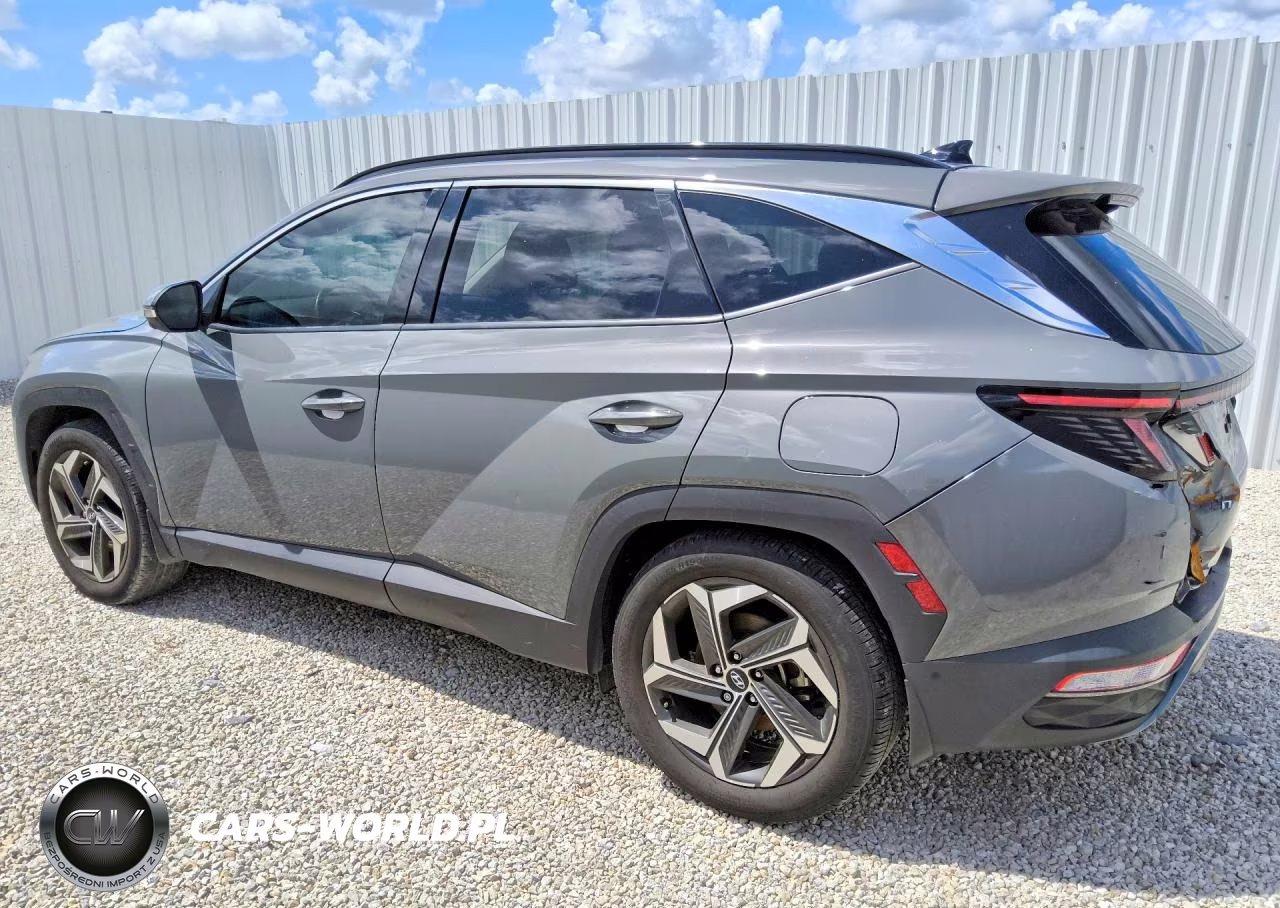 2024 Hyundai Tucson Limited VIN:5NMJE3DEXRH394522 - 2