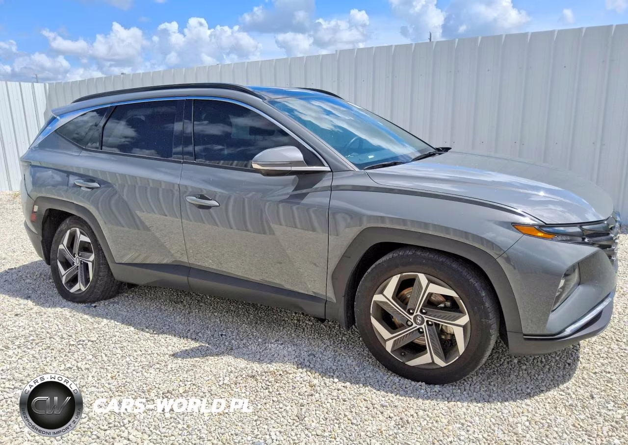 2024 Hyundai Tucson Limited VIN:5NMJE3DEXRH394522 - 4