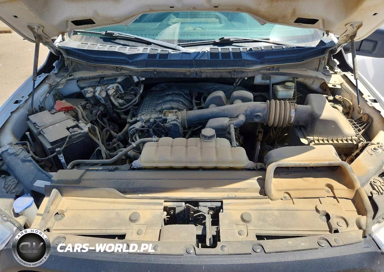 2022 Ford F150 VIN:1FTMF1CB2NKE26352 - 11