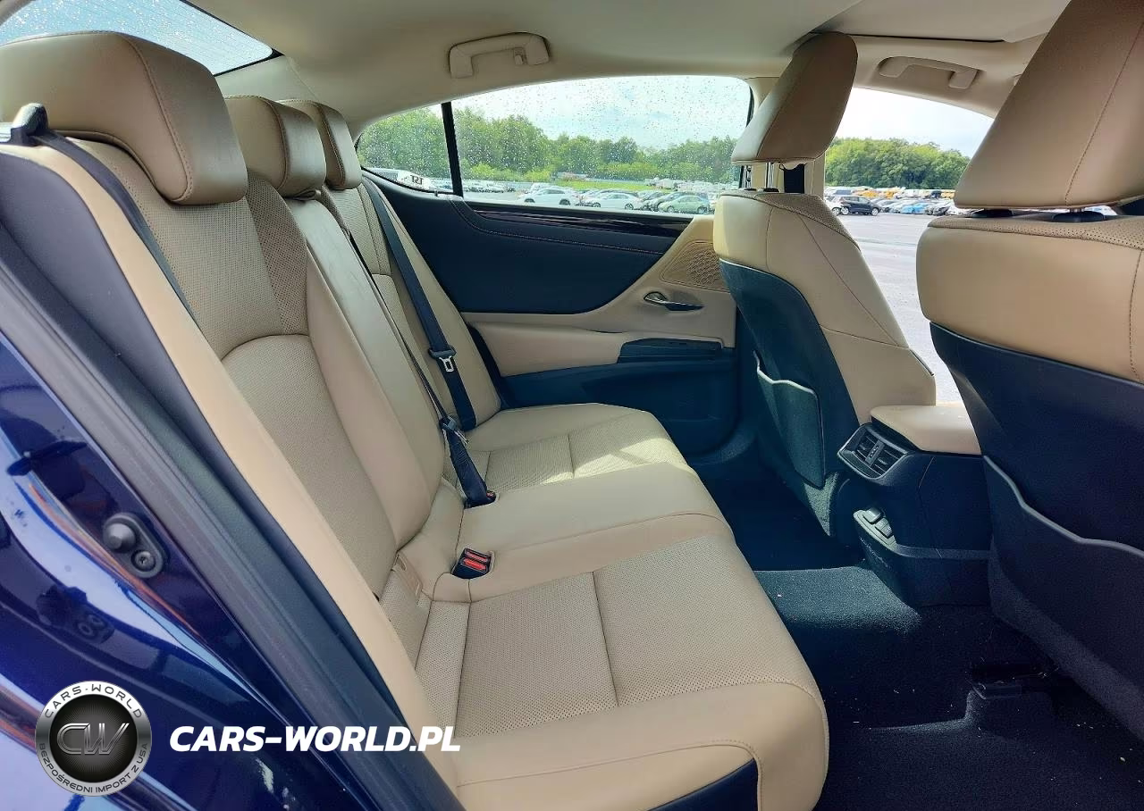 2020 Lexus Es 350 VIN:58ADZ1B15LU058044 - 10