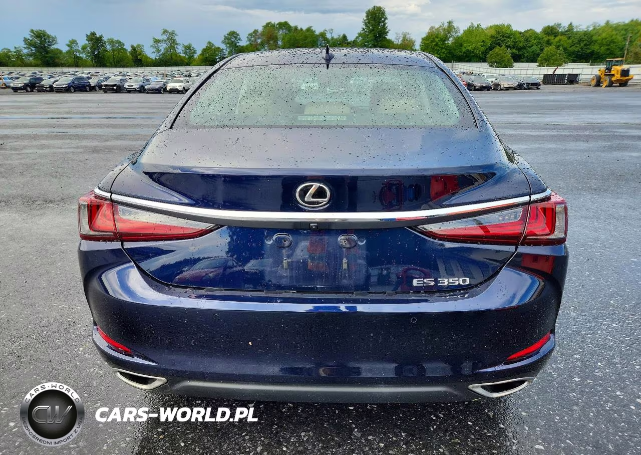 2020 Lexus Es 350 VIN:58ADZ1B15LU058044 - 6