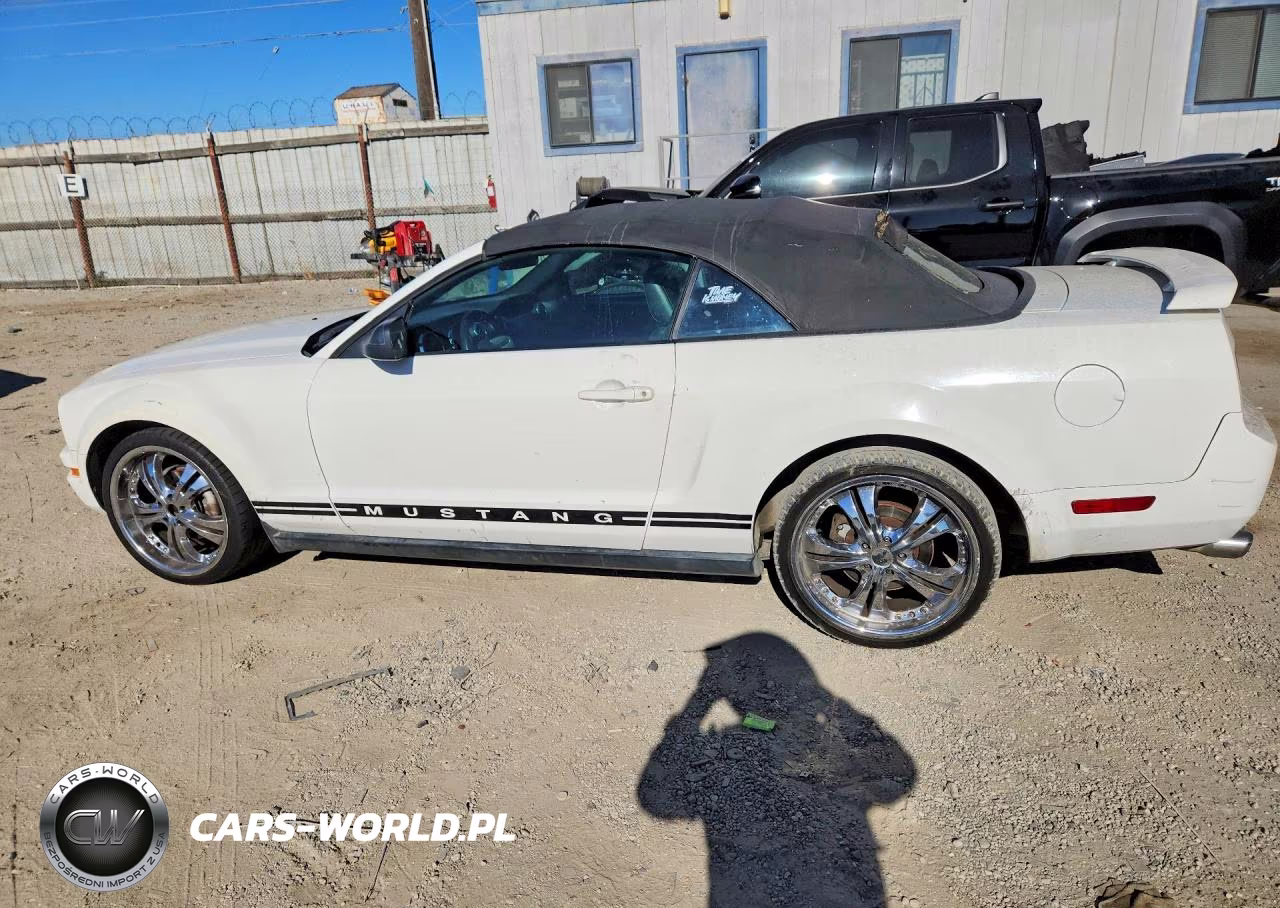 2005 Ford Mustang VIN:1ZVFT84N255242866 - 2