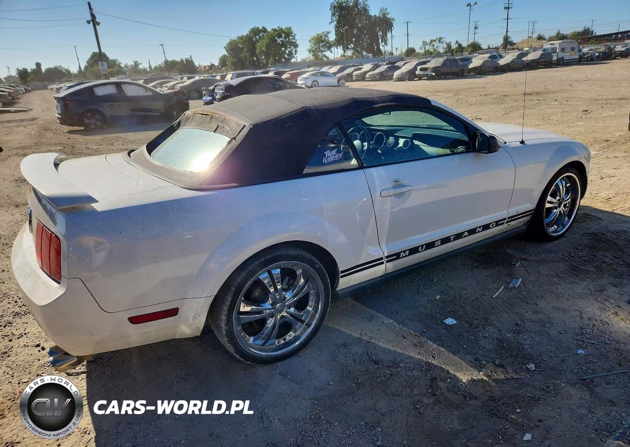 2005 Ford Mustang VIN:1ZVFT84N255242866 - 3