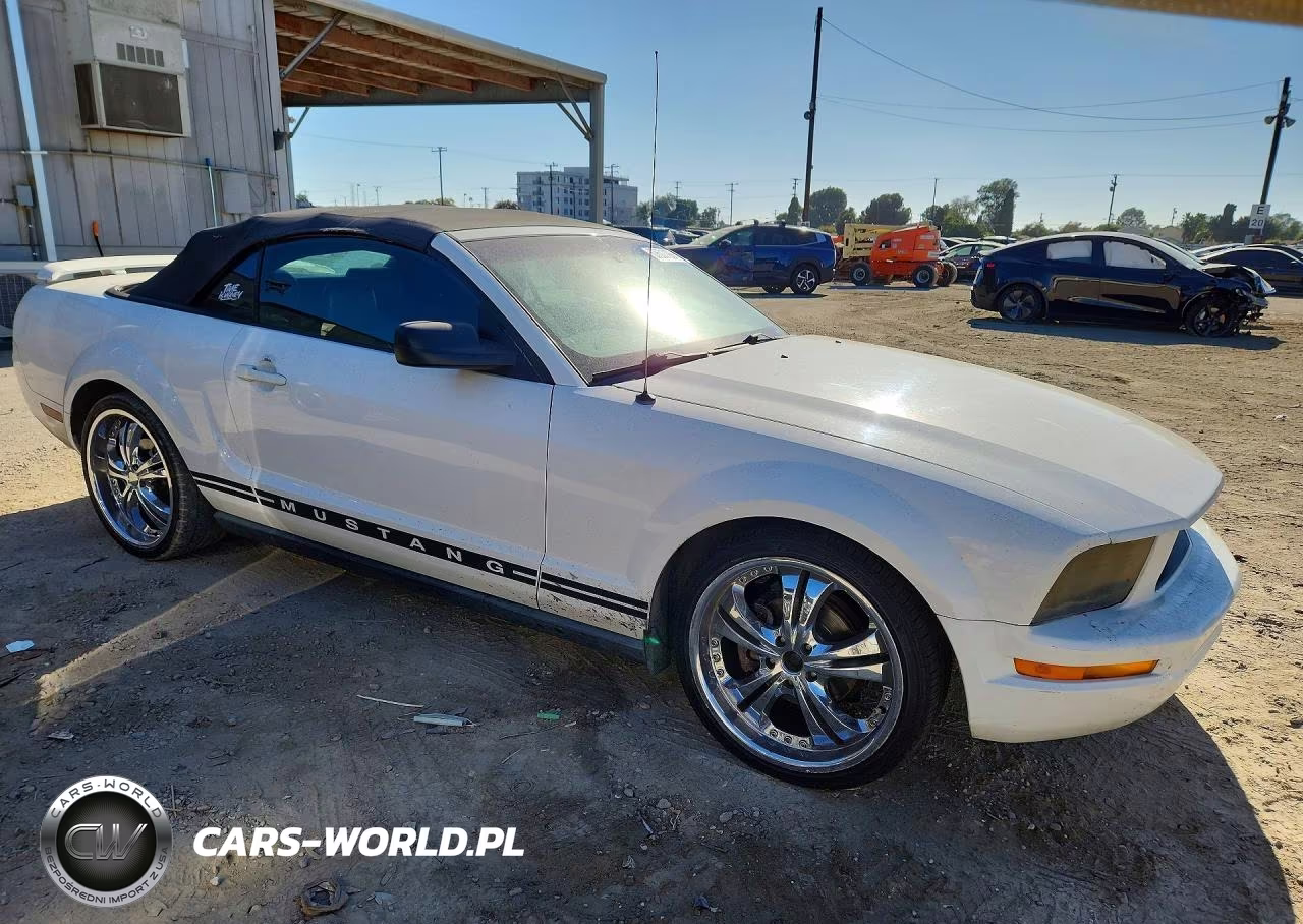 2005 Ford Mustang VIN:1ZVFT84N255242866 - 4